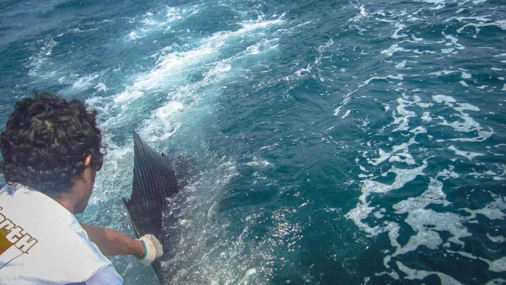 Man pulling exotic fish out of ocean.