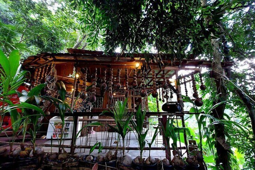 Tree Bridge Cafe And Zipline - Jungle Flight Adventure in Koh Samui