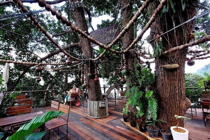 Tree Bridge Cafe And Zipline - Jungle Flight Adventure in Koh Samui