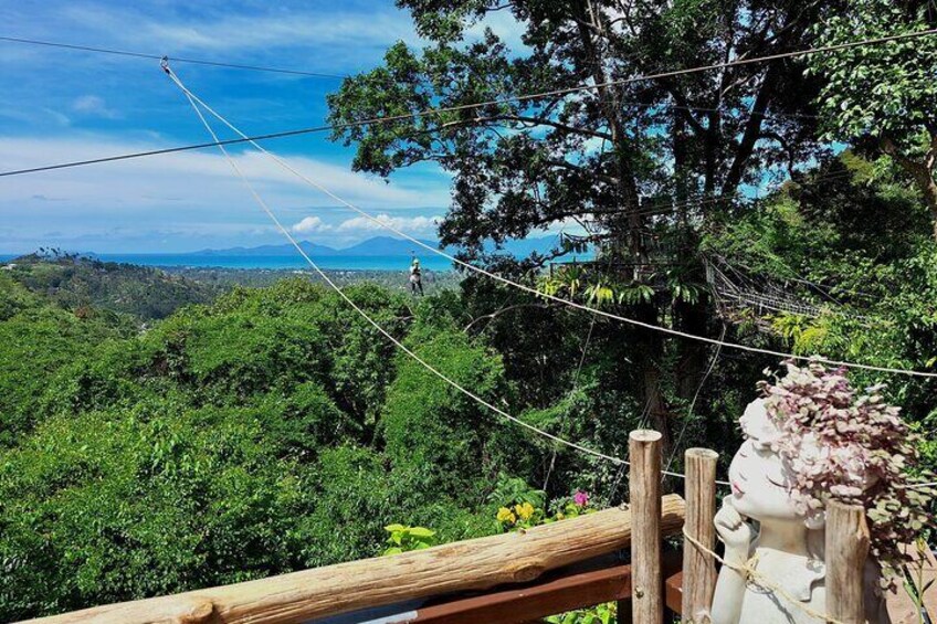 Tree Bridge Cafe And Zipline - Jungle Flight Adventure in Koh Samui