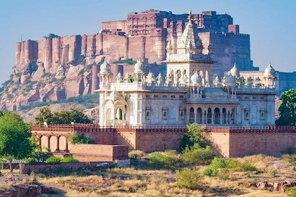 Authentic Jodhpur Day Tour