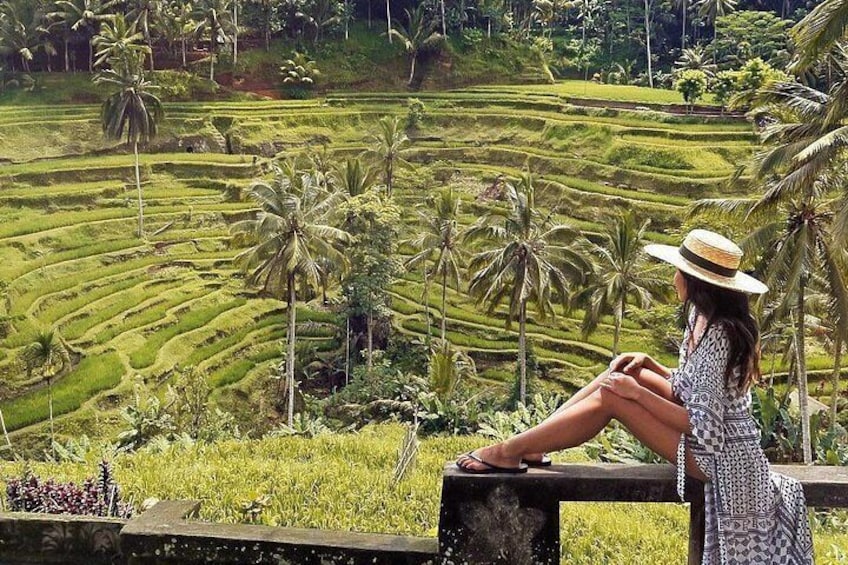 Ubud: Swing - Monkey Forest - Waterfall - Temple - Rice Terraces - Art Crafts