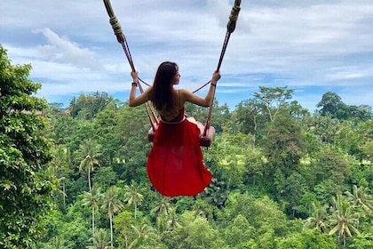 Ubud: Swing - Monkey Forest - Waterfall - Temple - Rice Terraces - Art Craf...