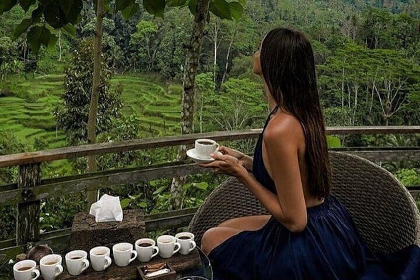 Ubud: Swing - Monkey Forest - Waterfall - Temple - Rice Terraces - Art Crafts