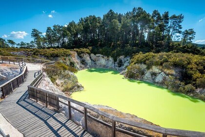 Devil's Bath Experience - Private Tour to Wai-O-Tapu & Lake Taupo