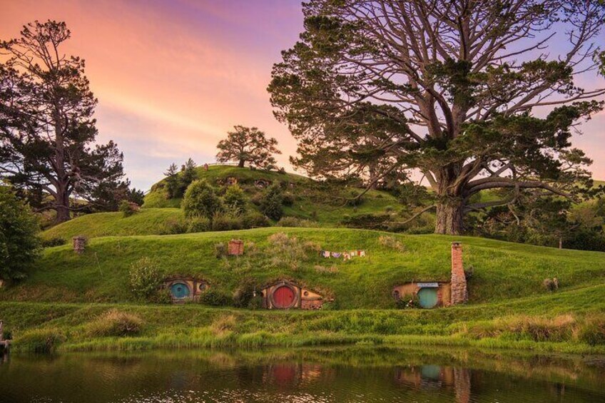 Hobbiton Movie Set Tour & Hamilton Garden Experience