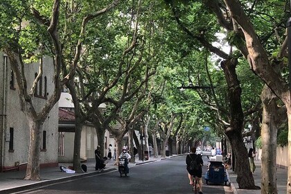 The History of the French Concession: A Self-Guided Audio Tour