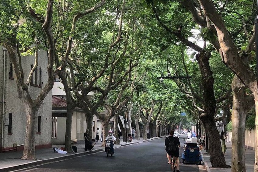 The History of the French Concession: A Self-Guided Audio Tour