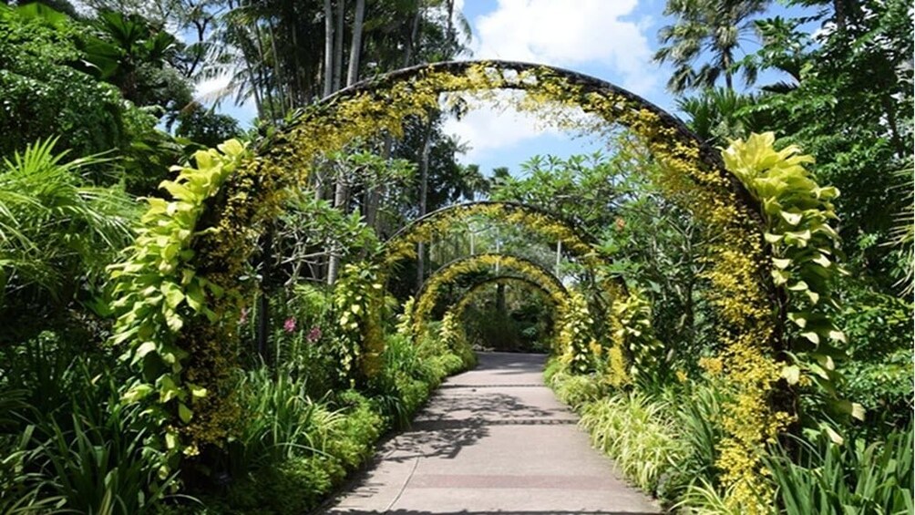 Half-Day City Tour including Visit to Singapore Botanic Gardens