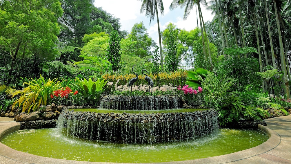Fountain in Singapore botanical gardens