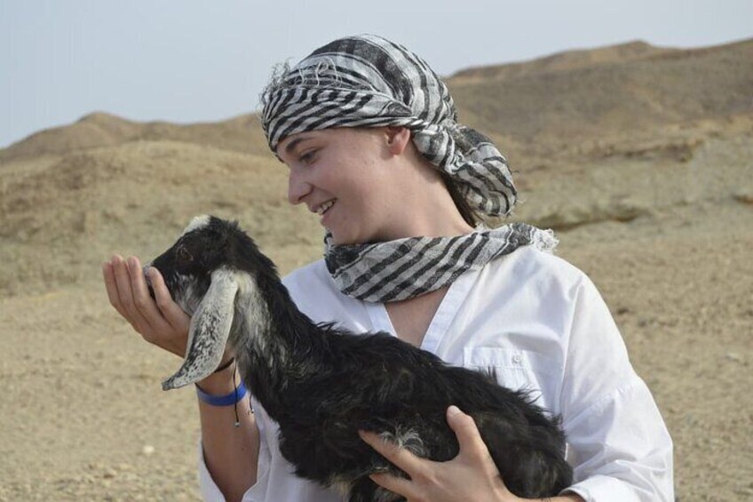 Desert Safari Quad 3 Hour ( ATV ) - Hurghada