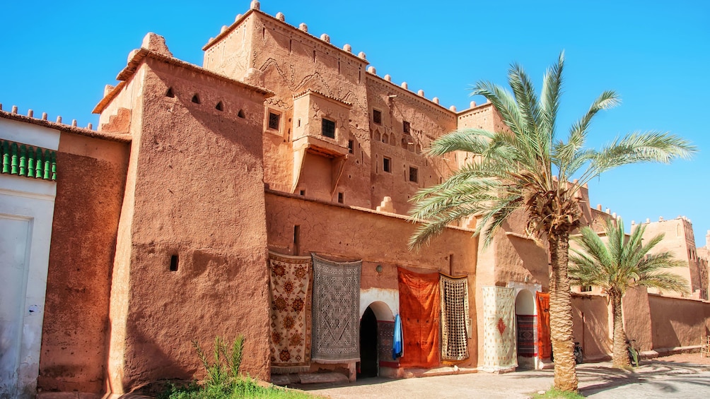 Buildings and palm trees in Morrocco