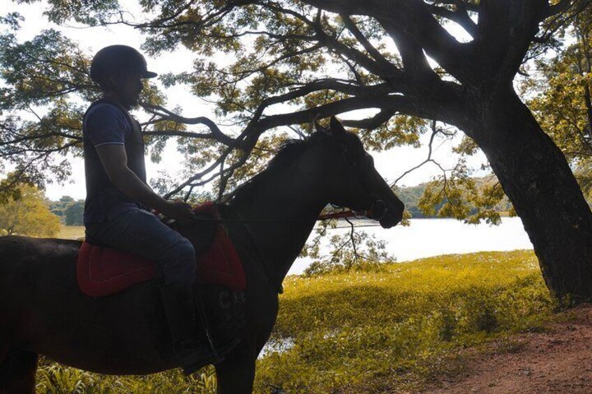 Horse Ride around a Village from Sigiriya