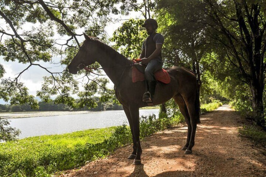 Horse Ride around a Village from Sigiriya