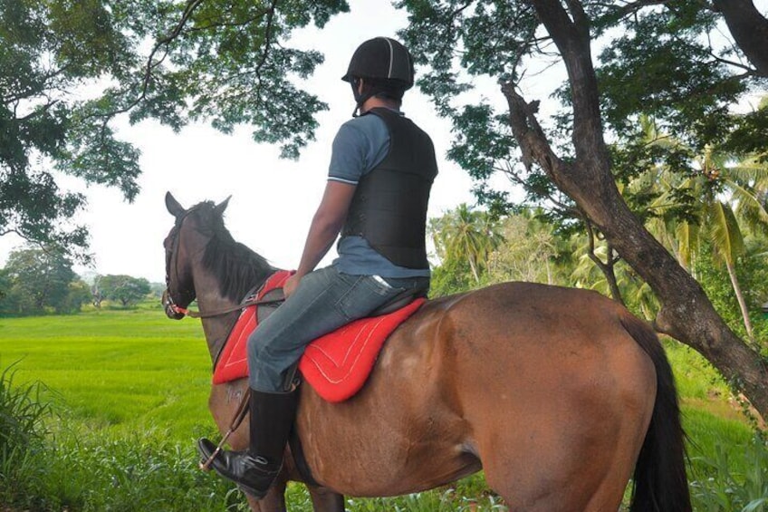 Horse Ride around a Village from Sigiriya