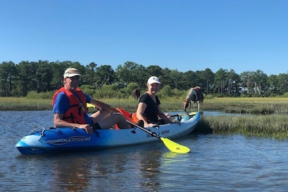 Guided Kayak Tour to see birds, ponies, dolphins and more!
