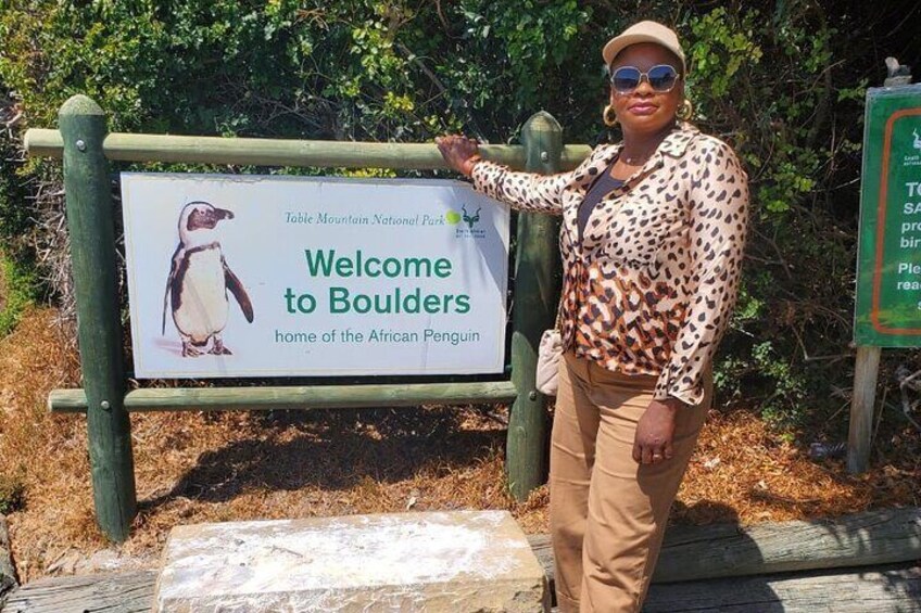 Best of Cape Town Cape Point and Wineries Combined Private Tour