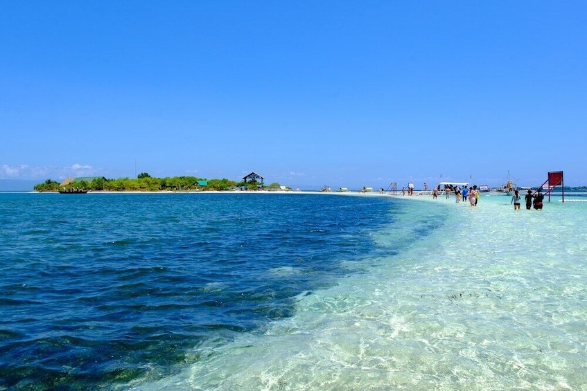 Panglao Island Hopping Tour with Lunch