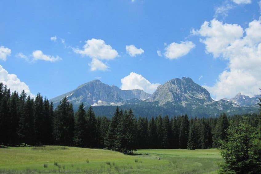 Durmitor peaks (up to 2,5km above sea)