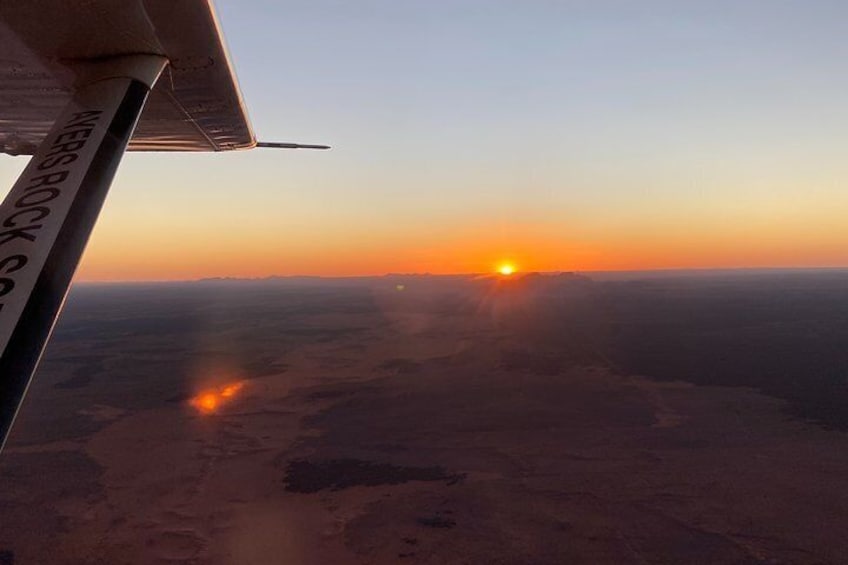 Scenic Flight: Lizard Safari