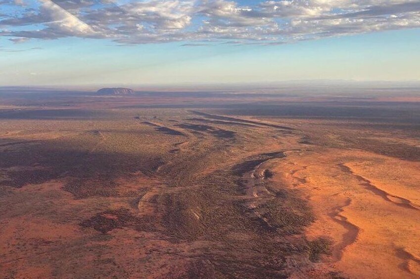 Scenic Flight: Lizard Safari