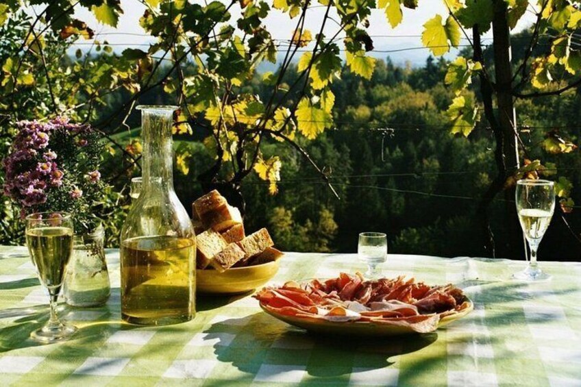 Food and Wine tasting experience in Trieste traditional farmhouse Osmiza