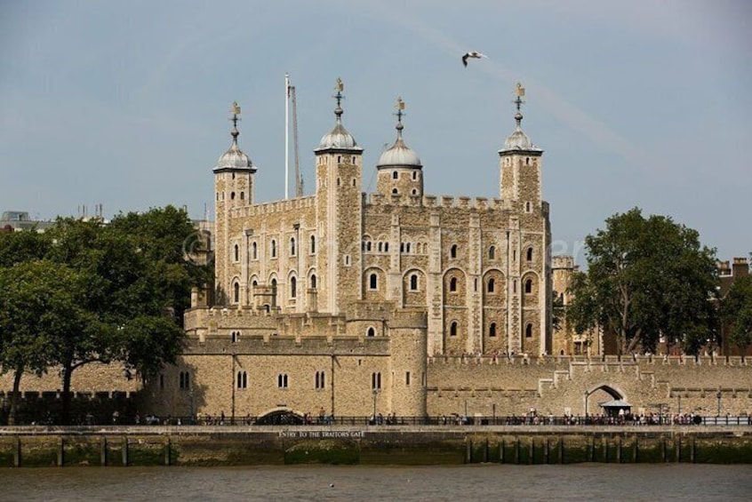 London's Highlights on a Full Day private tour from Southampton