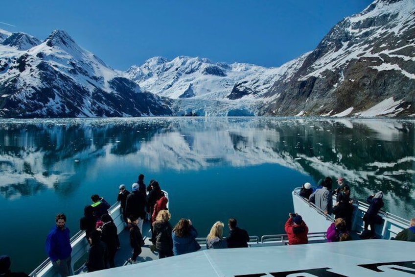 26 Glacier Cruise, See Glaciers and Wildlife in Prince William Sound