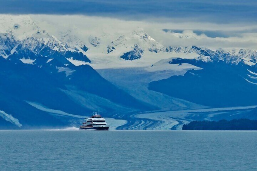 26 Glacier Cruise, College Fjord, Prince William Sound - Phillips Cruises & Tours, LLC