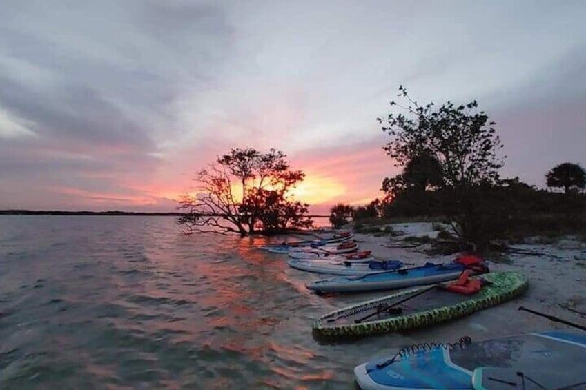 Coastal Sunset, Bioluminescence & Glow Paddle Tour