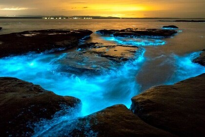 Bioluminescence Clear Kayak or Paddleboard Tour Near Orlando