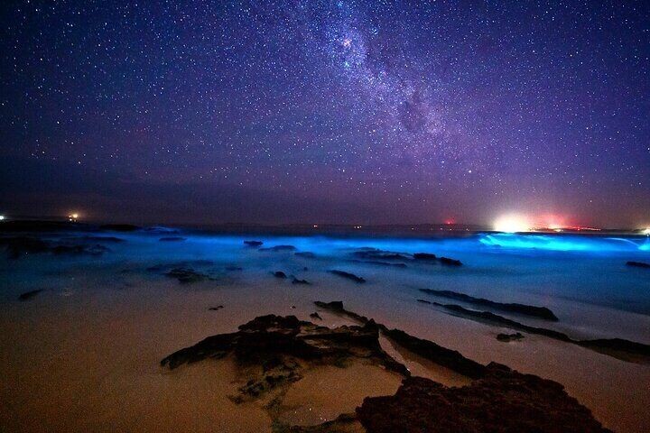 Bioluminescence Paddle Board or Clear Kayak Adventure Tour