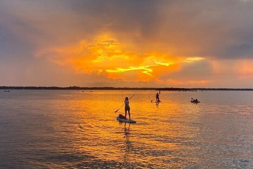 Paddle out to Horseshoe Crab Island