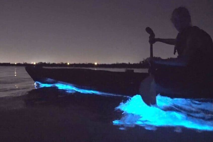 Bioluminescence Clear Kayak or Paddleboard Adventure Tour