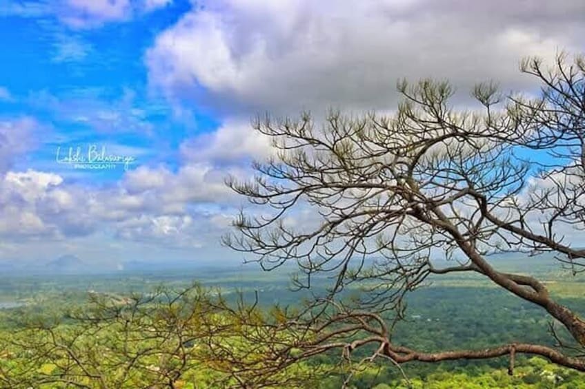 Sigiriya & Dambulla Cave Temple Day Trip from Colombo 