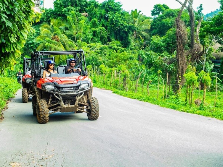 Jungle Buggies & River Swim