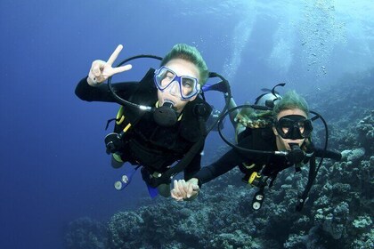 PADI Discover Scuba Diving course in Ameds Coral Paradise