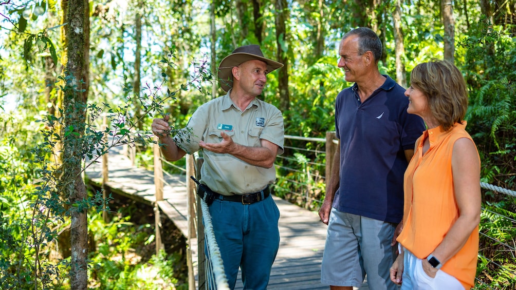 Kuranda Scenic Rail & Rainforestation Tour