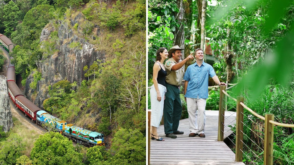 Combo image of scenic train ride and Rainforestation