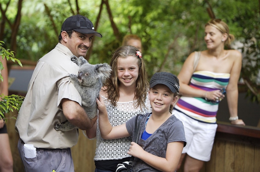 Kuranda & Hartley's Crocodile Adventure