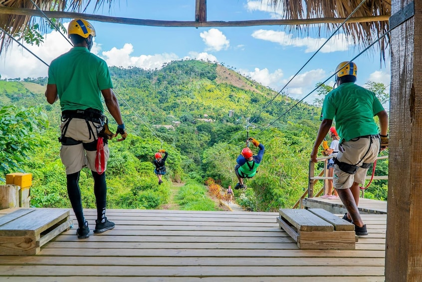 Jungle Buggies & Ziplining from Punta Cana