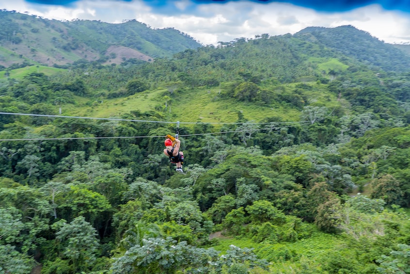 Jungle Buggies & Ziplining