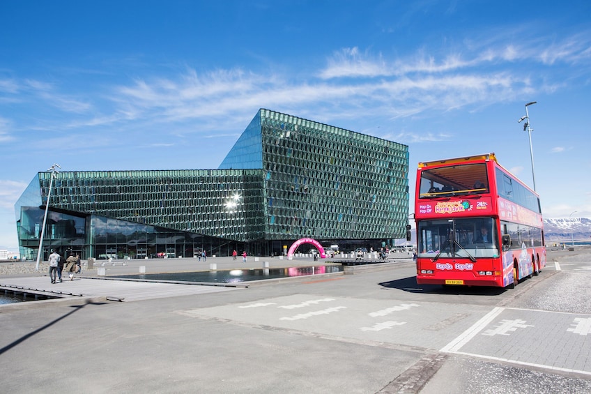 Discover Reykjavik: Hop-On Hop-Off Bus Tour