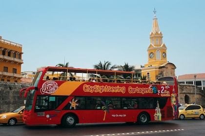 Recorrido turístico por la ciudad de Cartagena en autobús con paradas libre...