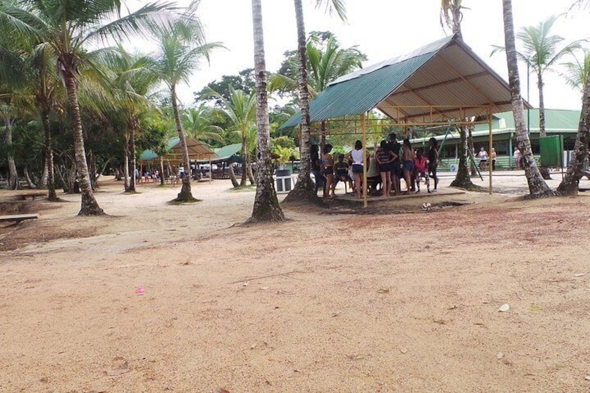 2-Day Jodensavanne and Overbridge from Paramaribo