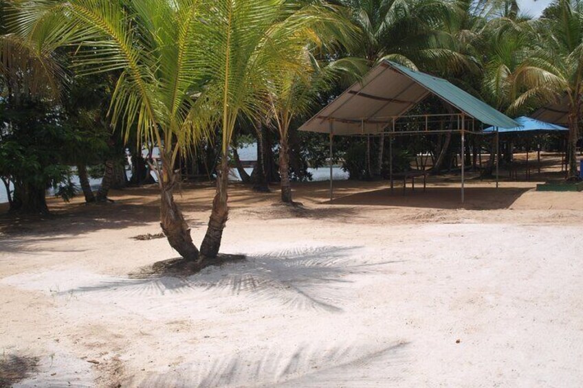 2-Day Jodensavanne and Overbridge from Paramaribo