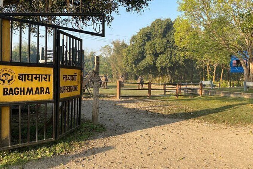 Show item 1 of 11. Chitwan Safari for 2 Nights 3 Days