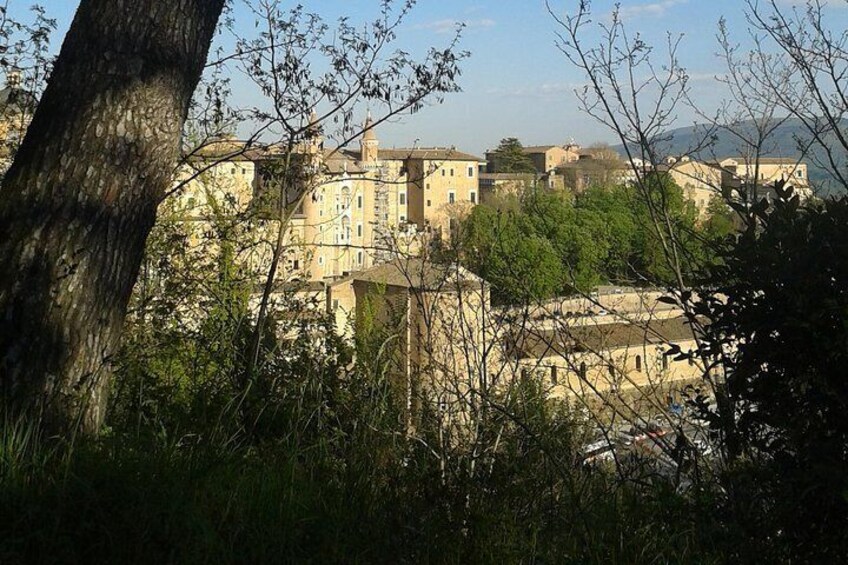 Urbino, detail of the ducal palace