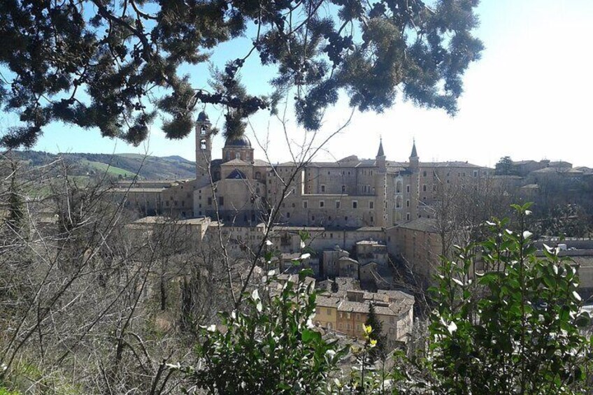 View of Urbino