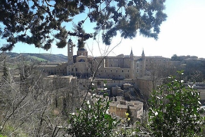 Visit of the Ducal Palace of Urbino